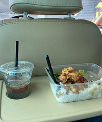 ��һ���ô���;���ڶ��ŵ�С���壬�ڳ��ϳԷ�����װ��ʵ��̫����