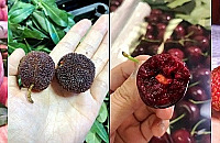 ����˫��ˮ�������г�����Щˮ���۸�͵���������