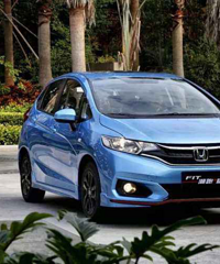 POLO��ꪣ����Ĵ��ɶ��ϻ��Ϊ����A0��С��������������