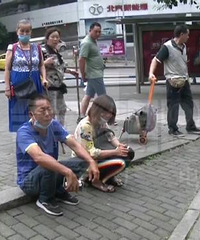 ��ĸǧ���������㽭�����죬Ů���ܶ�������Ϊɶ��