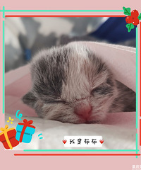 �Ҽҡ����㡱����˳�������ˣ�ɹɹ��ֻ��è�������������ա�