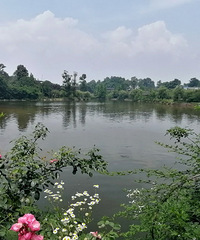 ��ƱֻҪ20������֮���������ݲ��ĳ������ܺÿ�