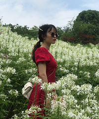 跟着论坛去的百花齐放的好地方,集美们,答应我,一定要去!