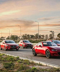 ������Ͷ�������������� �����֮����������