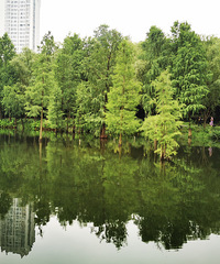 打卡风很大的湿地公园,轻轨直达,人少风景好