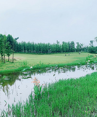 半小时赴一场花海之约,关键人少空气好