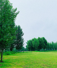 半小时赴一场花海之约,关键人少空气好
