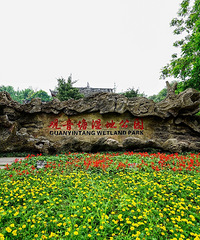 轻轨就到的观音塘湿地公园超漂亮,人少逛起来很舒服