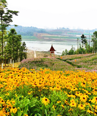 ��С�Ƴ������조�Ѷ������ͻ�ˣˮ�����䣬�������