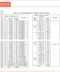 合川区发布公民办学校招生计划及招生范围,西附银翔摇号208人