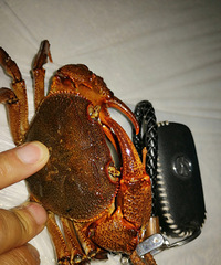 ȥϪժӺӣ˳ˣˮ׽зԶ