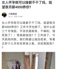 女人怀孕就可以啥都不干了吗,指望我月薪4000养你?