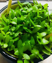 ����ǰ���ºܶ�������ѣ����ڳ�����������֪���þ��ܽ��