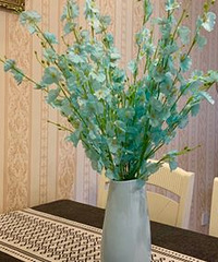 ���ﲻ�ܷżٻ�����û�ж��е�������˵˵��