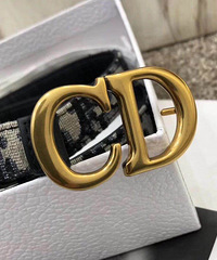 Dior �����ϻ����� �����ٴ��š�