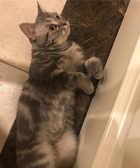 ��è���˸��������Ǹо����������飬��ʲô�취���������