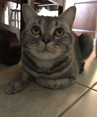 ��è���˸��������Ǹо����������飬��ʲô�취���������