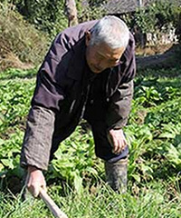 �˵�����û�����룬�����Ƕ�ôС������