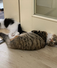 ����ֻè���Ҹ�������������Ǻ�г������������˰�