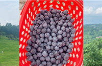 ժݮֻҪ29.9ƺͲˣտ