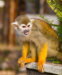 ��������������Ƕ���ľƵ꣬�ܽ�ȴ������֪����С���ѵ��