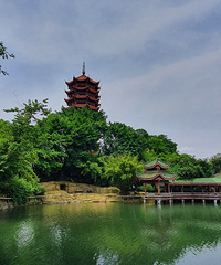 走进碧津公园,这里的景色超舒服