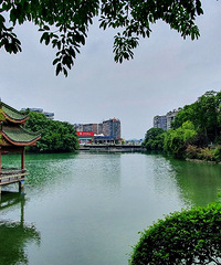 走进碧津公园,这里的景色超舒服