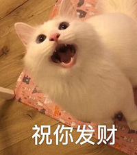 ���Ǽ�����һ���ʨ����è�䣬����ǧ����ÿ�ζ���ó���