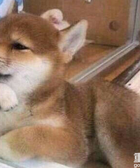 ��н�߰�ǧ����������������ÿ��������Ǯ����