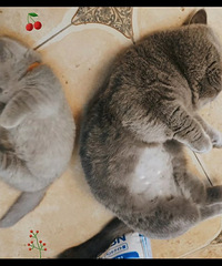 �����⡱���̽С������㡱����������ĸ����һģһ��