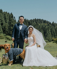 带上我心爱的狗子去仙女山拍婚纱照啦!穿上西装它更像是主角