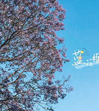 ����������ֱϽ23���꣬ɹ�����ֻ���������������Ƭ��