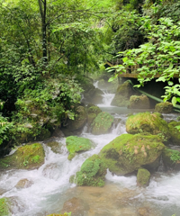 �ϴ�����Ͽ���Ҫǿ�ƣ���ͽ����ˣˮ��Ư����ˮ�ʺͷ羰��������