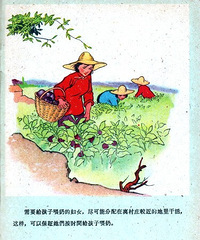 一本1962年版的彩色科普连环画册《注意妇女卫生 加强劳动保护》