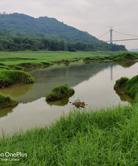 现在这个天去南平坝好舒服,养眼又清爽