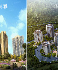 180万买房,选配套还是小区环境?北大资源博雅和华侨城该选谁