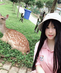 打卡羊鹿山的梅花鹿苑,门票才20块钱一个人