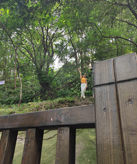 �Ӻ���Ϫ�����߻����ŵ���������ɽ���������ݺȲ�