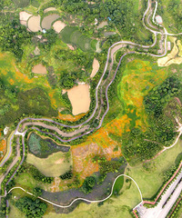 藏在市区的免费公园,可以看马鞭草和金鸡菊,攻略给你们附上