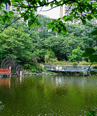 彩云湖湿地公园湖边走起,凉快舒服,超适合散步