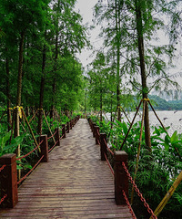 ���ƺ�ʪ�ع�԰��������������������ʺ�ɢ��