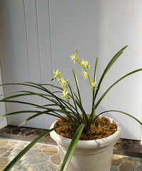 ��˵������������������������ζ�������磬һ���ӾͰ�����