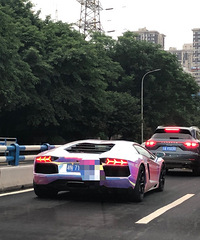 ����ɶ�ӳ������ſᣡ