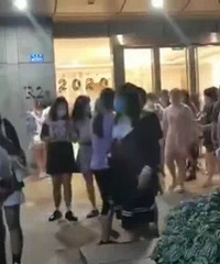 粉丝追星追进小区,较场口居民苦不堪言