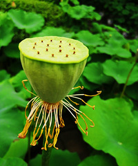 �����µĺɻ��������ã������޶�ȥˣ��������