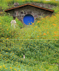 ����ȥ�����տ�