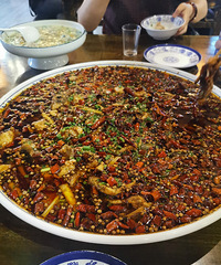 ȥ�ɽ����������գ����ɳ�ͼ9���񣬵��������˵Ļ���������