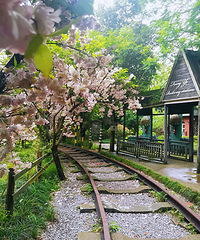 去璧山的网红地拍照,轻松出图9宫格,但最吸引人的还是来凤鱼