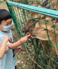 20块就能让小朋友在奈良重庆分良耍得超开心,附近吃的玩的都多