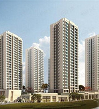 ��ʯ�ӽ�Խ�ɽ���������ˣ�����������ˮ����2.6�򣬹󲻹�